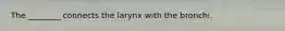 The ________ connects the larynx with the bronchi.