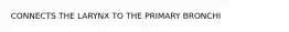 CONNECTS THE LARYNX TO THE PRIMARY BRONCHI