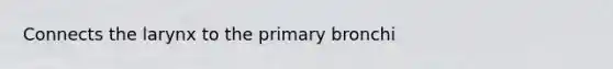 Connects the larynx to the primary bronchi