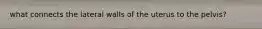 what connects the lateral walls of the uterus to the pelvis?