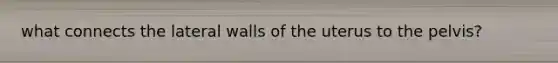 what connects the lateral walls of the uterus to the pelvis?