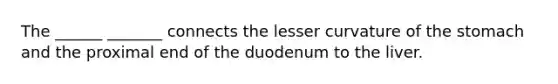 The ______ _______ connects the lesser curvature of the stomach and the proximal end of the duodenum to the liver.