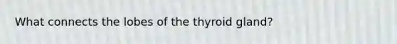 What connects the lobes of the thyroid gland?