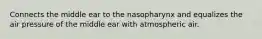 Connects the middle ear to the nasopharynx and equalizes the air pressure of the middle ear with atmospheric air.