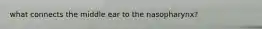 what connects the middle ear to the nasopharynx?