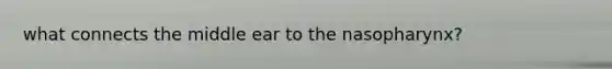 what connects the middle ear to the nasopharynx?