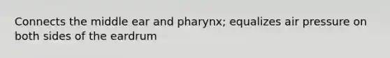 Connects the middle ear and pharynx; equalizes air pressure on both sides of the eardrum