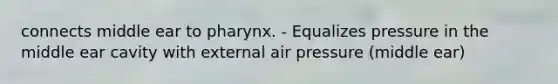 connects middle ear to pharynx. - Equalizes pressure in the middle ear cavity with external air pressure (middle ear)