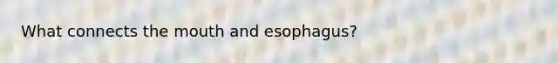 What connects the mouth and esophagus?