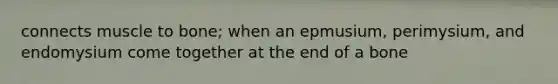 connects muscle to bone; when an epmusium, perimysium, and endomysium come together at the end of a bone