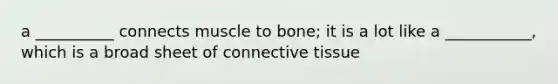 a __________ connects muscle to bone; it is a lot like a ___________, which is a broad sheet of connective tissue