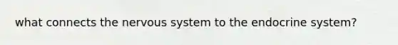 what connects the nervous system to the endocrine system?