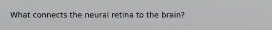What connects the neural retina to the brain?
