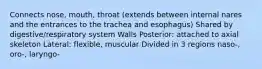 Connects nose, mouth, throat (extends between internal nares and the entrances to the trachea and esophagus) Shared by digestive/respiratory system Walls Posterior: attached to axial skeleton Lateral: flexible, muscular Divided in 3 regions naso-, oro-, laryngo-