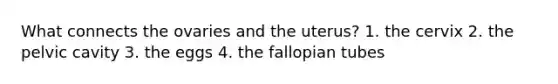 What connects the ovaries and the uterus? 1. the cervix 2. the pelvic cavity 3. the eggs 4. the fallopian tubes