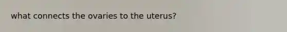 what connects the ovaries to the uterus?