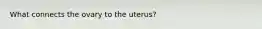 What connects the ovary to the uterus?