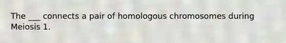 The ___ connects a pair of homologous chromosomes during Meiosis 1.