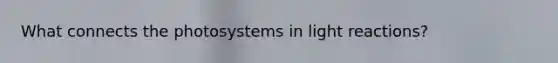 What connects the photosystems in <a href='https://www.questionai.com/knowledge/kSUoWrrvoC-light-reactions' class='anchor-knowledge'>light reactions</a>?