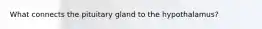 What connects the pituitary gland to the hypothalamus?