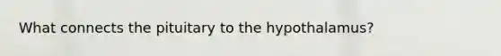 What connects the pituitary to the hypothalamus?