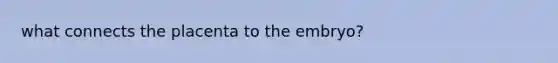 what connects the placenta to the embryo?
