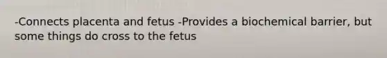 -Connects placenta and fetus -Provides a biochemical barrier, but some things do cross to the fetus