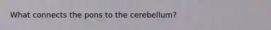 What connects the pons to the cerebellum?