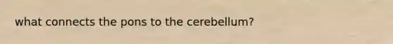 what connects the pons to the cerebellum?