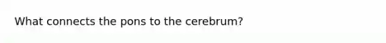 What connects the pons to the cerebrum?