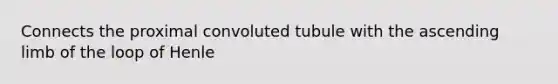 Connects the proximal convoluted tubule with the ascending limb of the loop of Henle