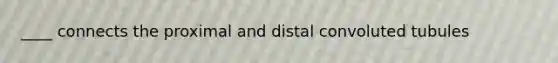 ____ connects the proximal and distal convoluted tubules