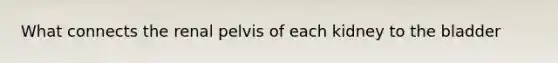 What connects the renal pelvis of each kidney to the bladder