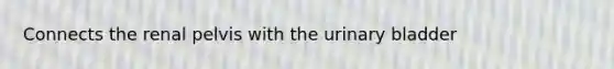 Connects the renal pelvis with the <a href='https://www.questionai.com/knowledge/kb9SdfFdD9-urinary-bladder' class='anchor-knowledge'>urinary bladder</a>