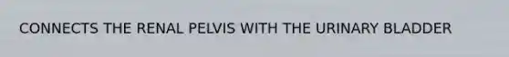 CONNECTS THE RENAL PELVIS WITH THE URINARY BLADDER