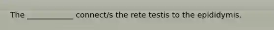 The ____________ connect/s the rete testis to the epididymis.