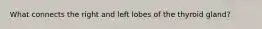 What connects the right and left lobes of the thyroid gland?