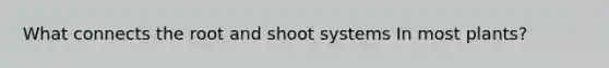 What connects the root and shoot systems In most plants?