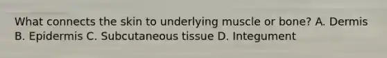 What connects the skin to underlying muscle or bone? A. Dermis B. Epidermis C. Subcutaneous tissue D. Integument