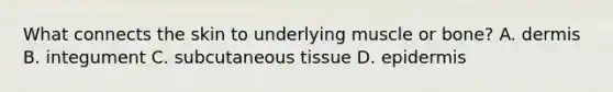 What connects the skin to underlying muscle or bone? A. dermis B. integument C. subcutaneous tissue D. epidermis