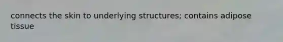 connects the skin to underlying structures; contains adipose tissue