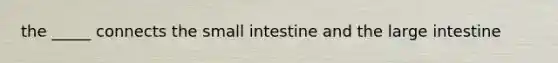 the _____ connects the small intestine and the large intestine