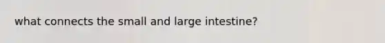 what connects the small and large intestine?