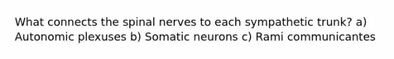 What connects the <a href='https://www.questionai.com/knowledge/kyBL1dWgAx-spinal-nerves' class='anchor-knowledge'>spinal nerves</a> to each sympathetic trunk? a) Autonomic plexuses b) Somatic neurons c) Rami communicantes