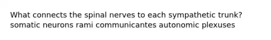 What connects the spinal nerves to each sympathetic trunk? somatic neurons rami communicantes autonomic plexuses