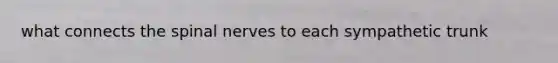 what connects the spinal nerves to each sympathetic trunk