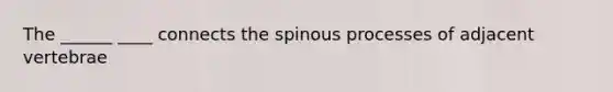 The ______ ____ connects the spinous processes of adjacent vertebrae