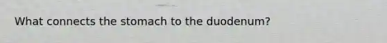 What connects the stomach to the duodenum?