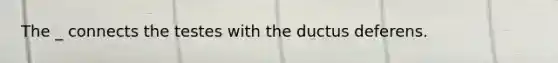 The _ connects the testes with the ductus deferens.