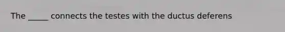 The _____ connects the testes with the ductus deferens